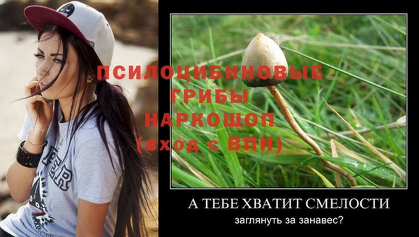 гидра Абинск