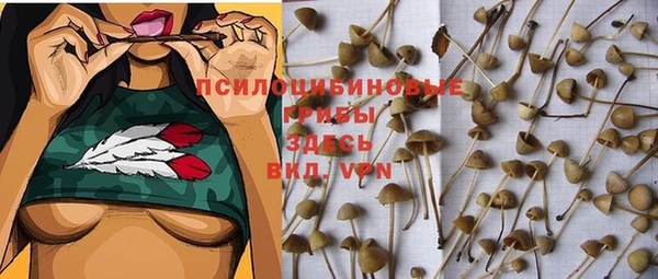 гидра Абинск